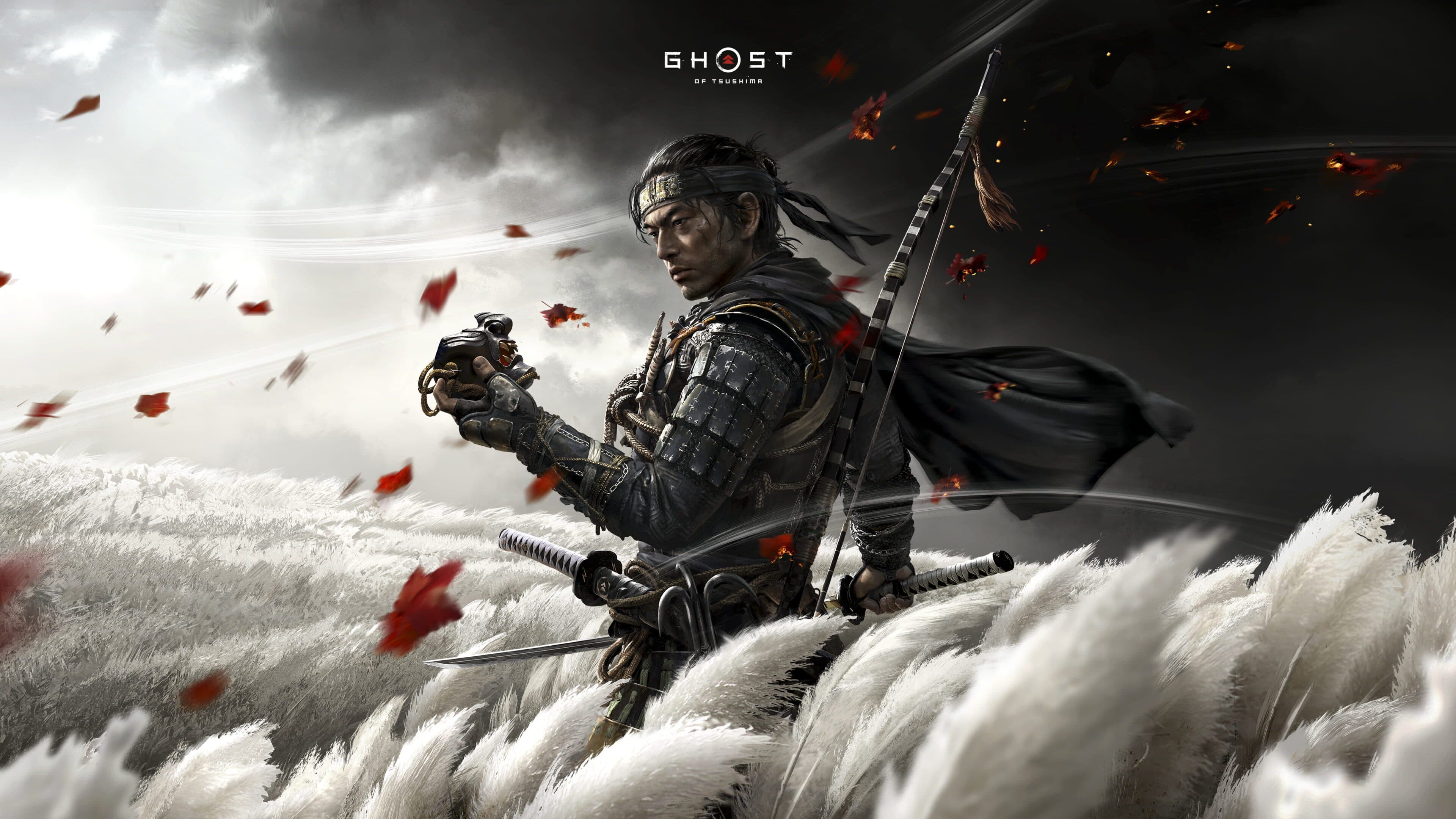 Ghost of Tsushima: Director's Cut artwork