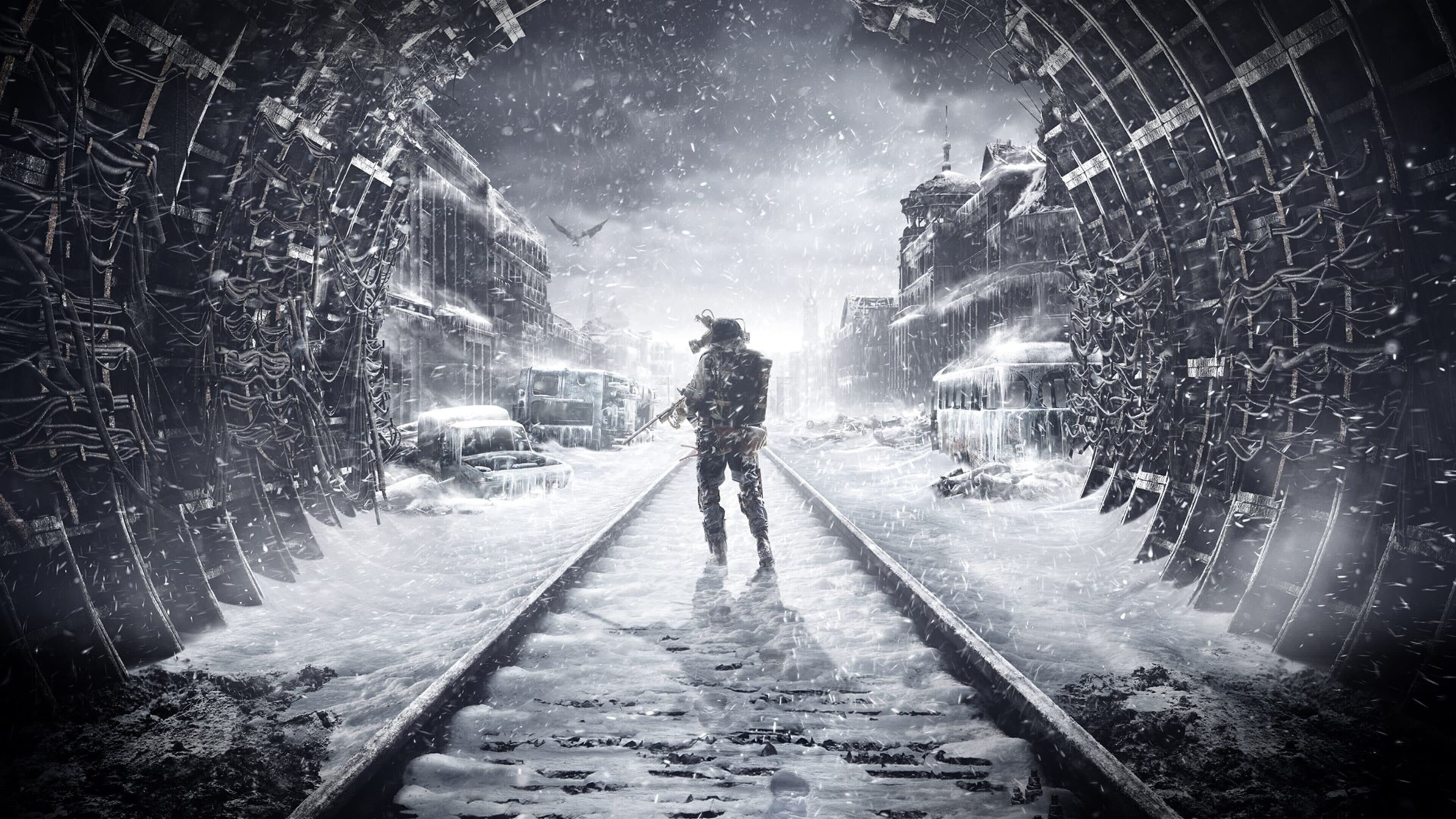 Metro Exodus: Enhanced Edition artwork